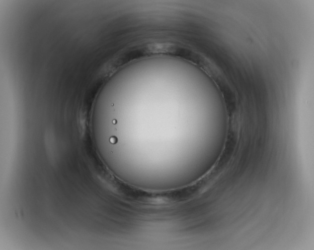 X0000115830741200911201505