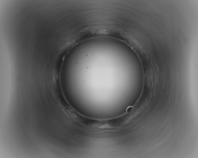 X0000115830747200911201505