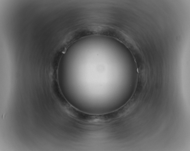 X0000115830750200911201505