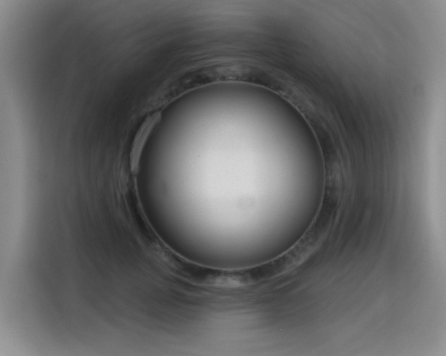 X0000115830751200911201505