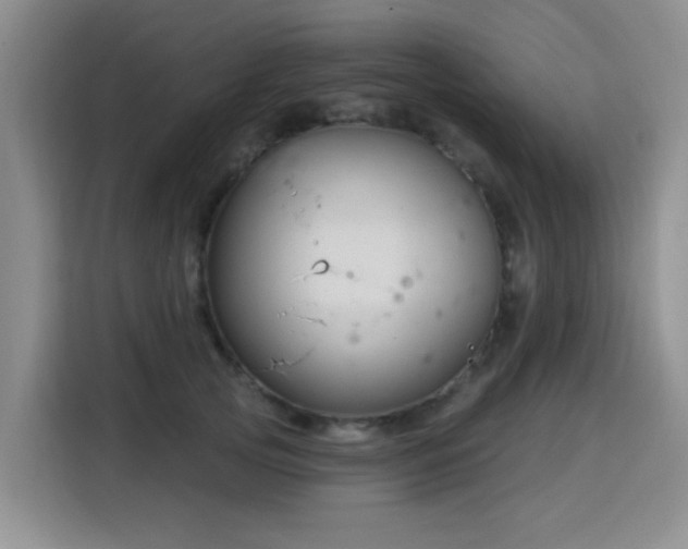 X0000115830753200911201505