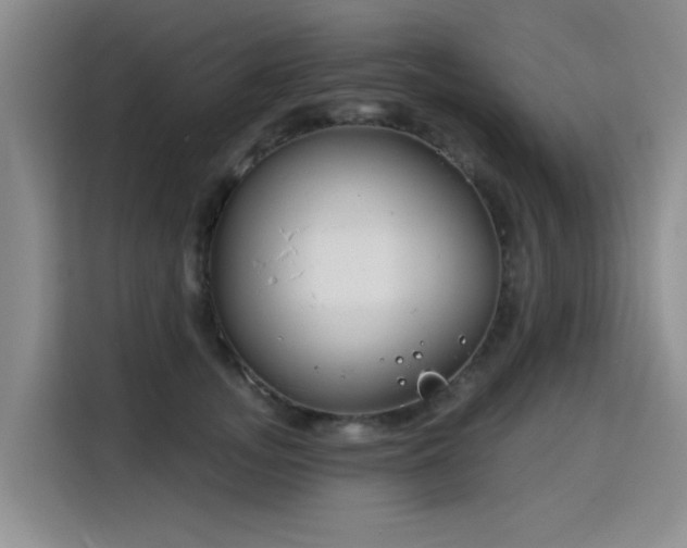 X0000115830755200911201505