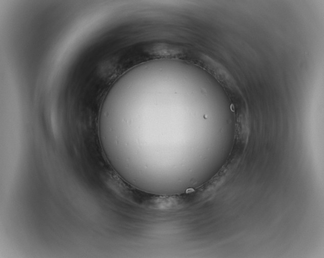 X0000115830762200911201505