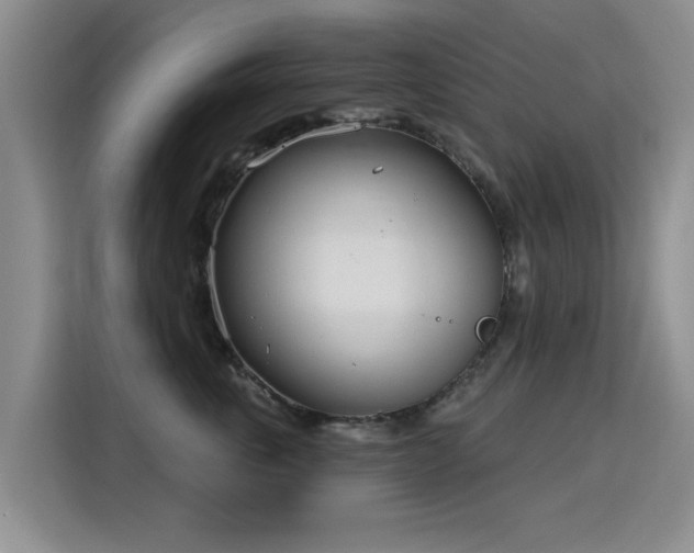 X0000115830763200911201505