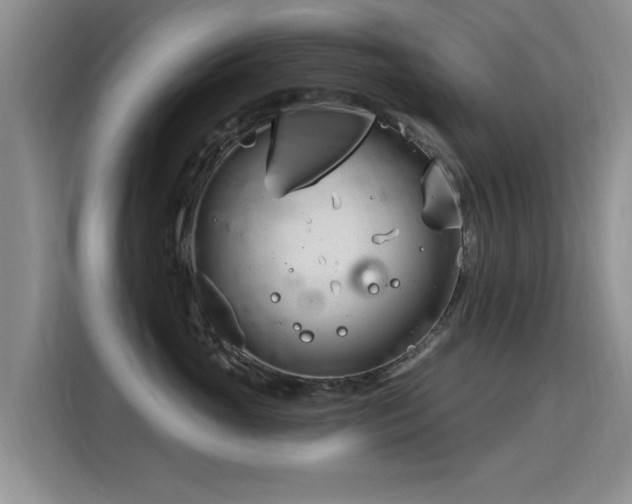 X0000115830765200911201505