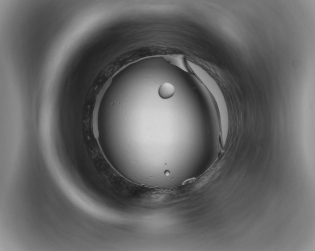 X0000115830766200911201505