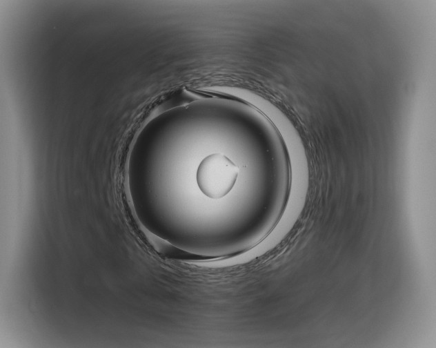 X0000115830769200911201504