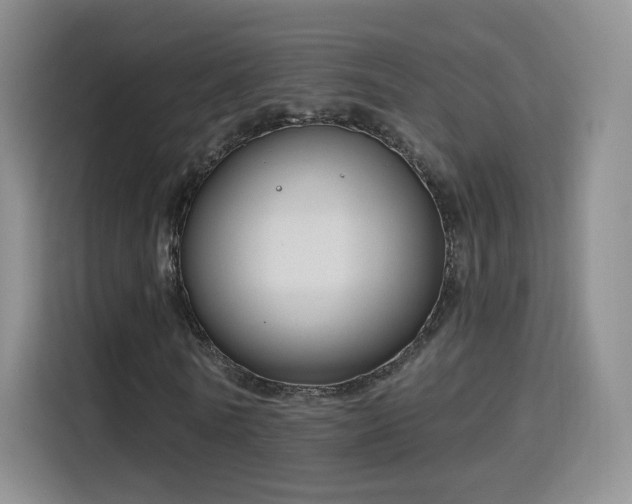 X0000115830770200911201504