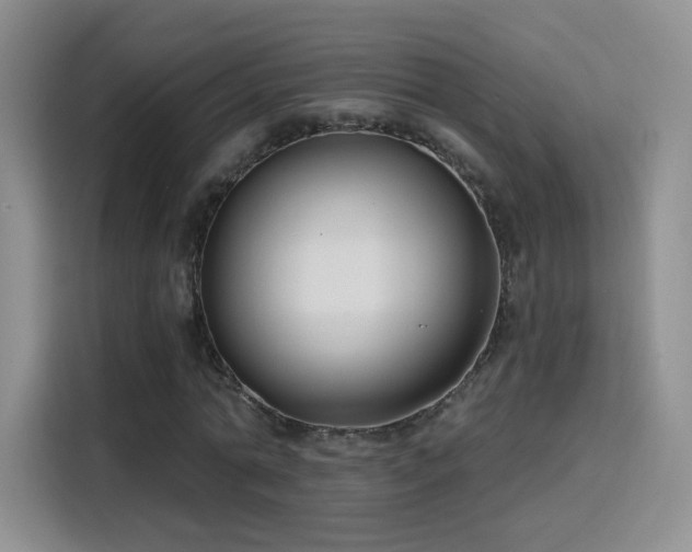 X0000115830774200911201504