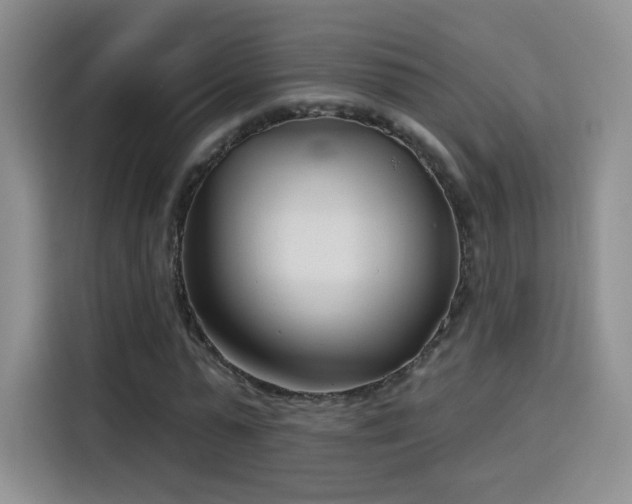 X0000115830775200911201504