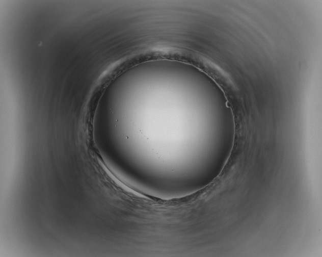 X0000115830776200911201504