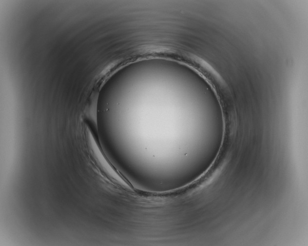 X0000115830777200911201504