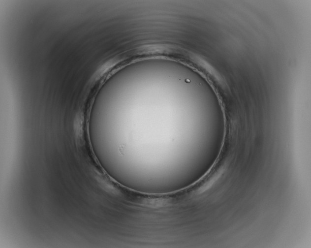 X0000115830778200911201504