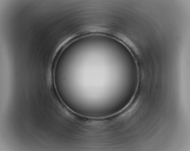 X0000115830782200911201504