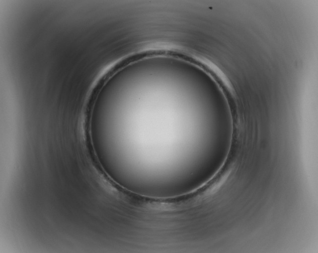 X0000115830783200911201504