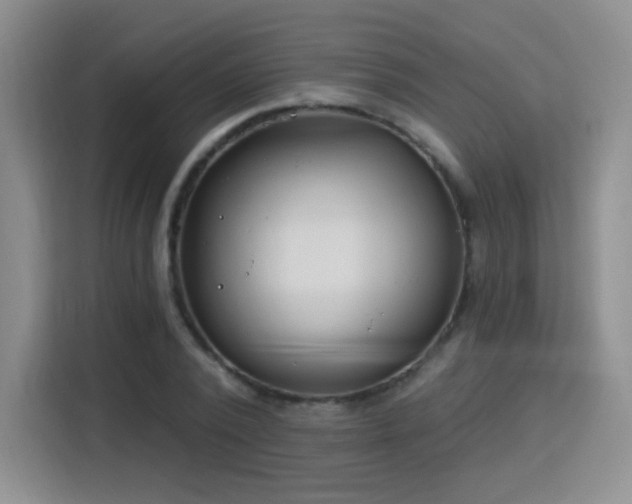 X0000115830784200911201504