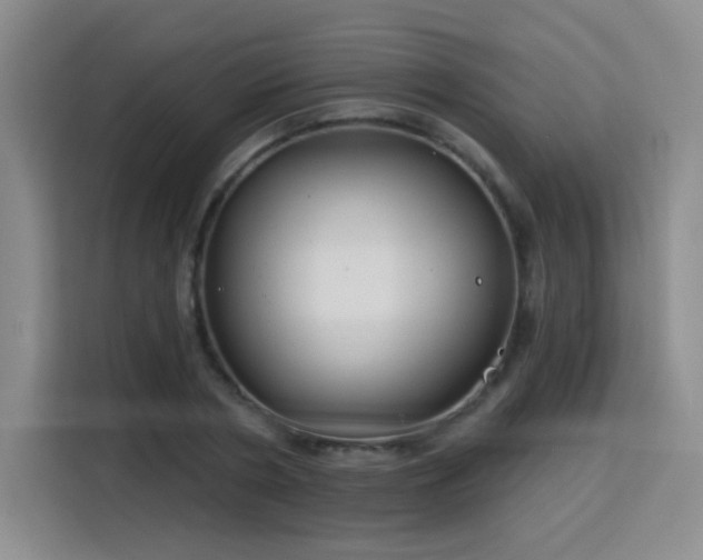 X0000115830786200911201504