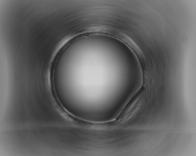 X0000115830788200911201504