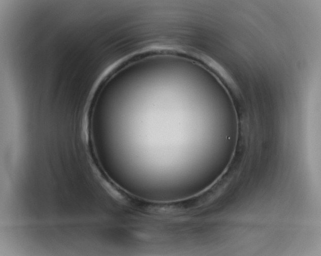 X0000115830791200911201504