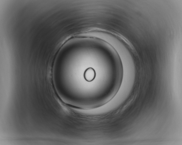 X0000115830793200911201504