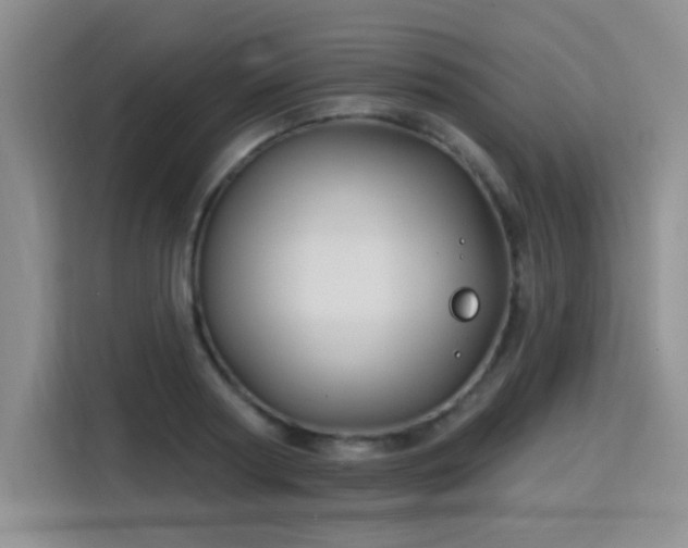 X0000115830794200911201504