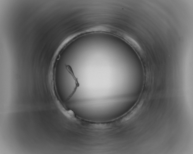 X0000115830800200911201504