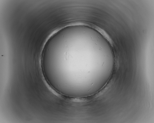 X0000115830805200911201504