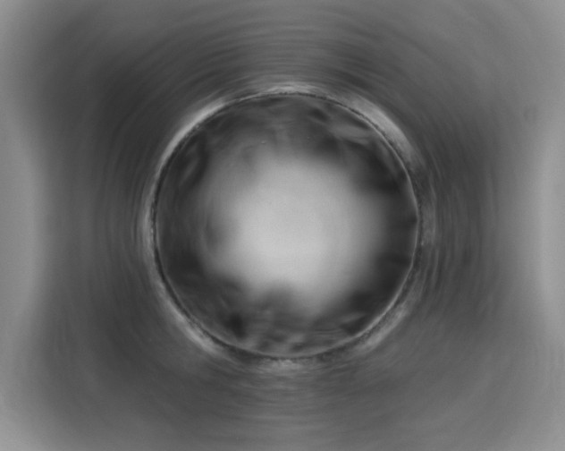 X0000115830806200911201504