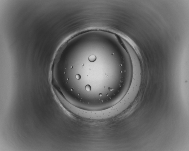 X0000115830807200911201504