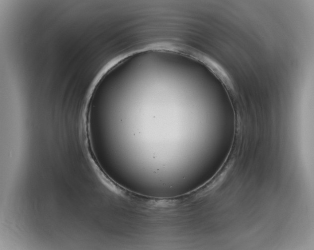 X0000115830808200911201504