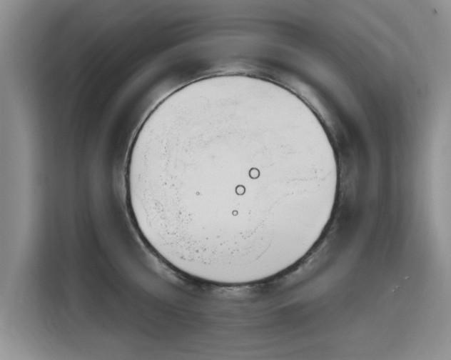 X0000115830810200911201504