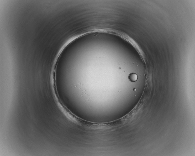 X0000115830811200911201504