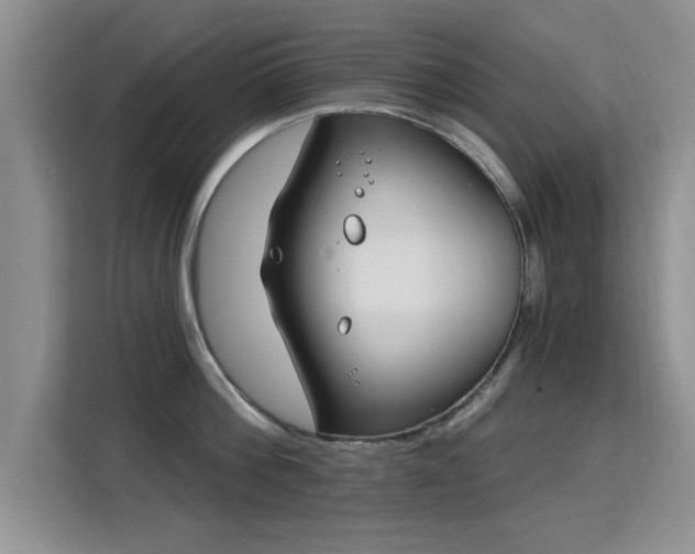 X0000115830812200911201504