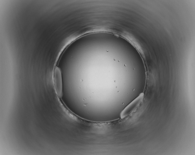 X0000115830813200911201504