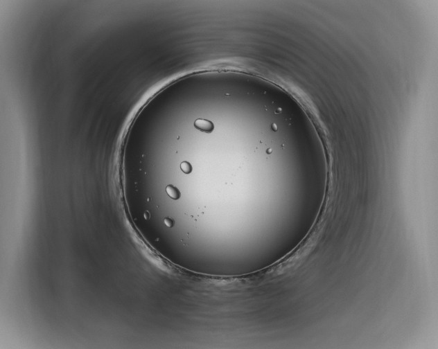 X0000115830816200911201504