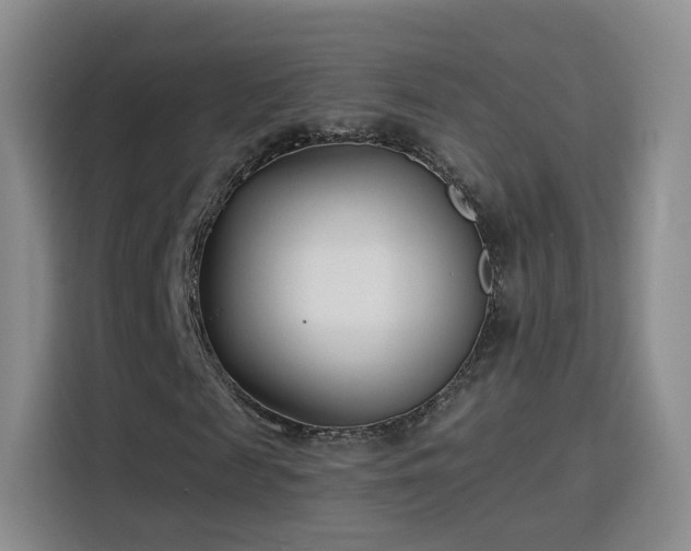 X0000115830817200911201503