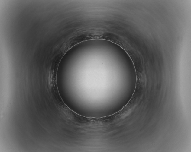 X0000115830818200911201503