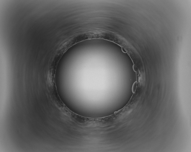 X0000115830819200911201503