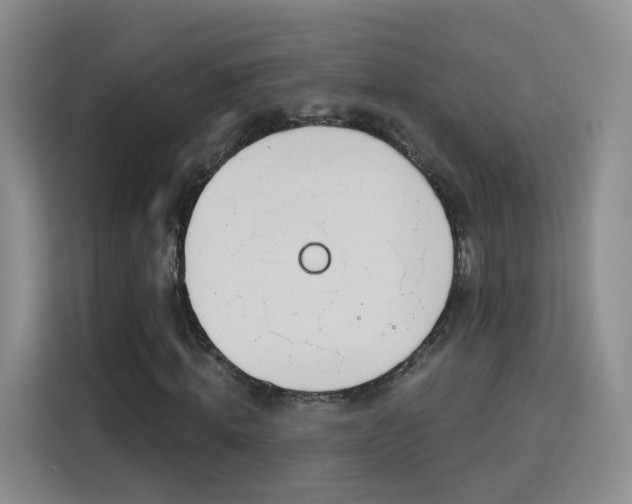 X0000115830820200911201503