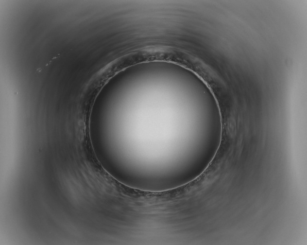 X0000115830821200911201503