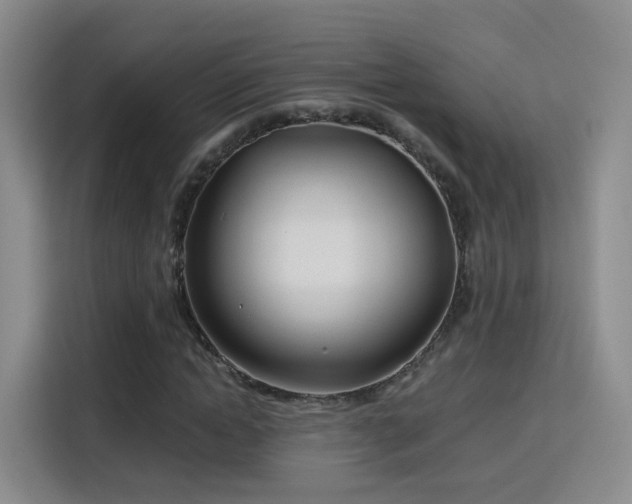 X0000115830822200911201503