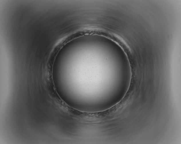 X0000115830823200911201503