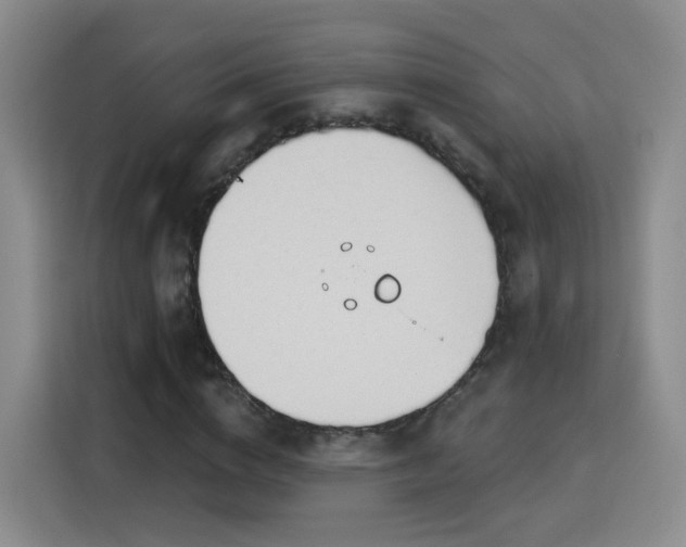 X0000115830824200911201503