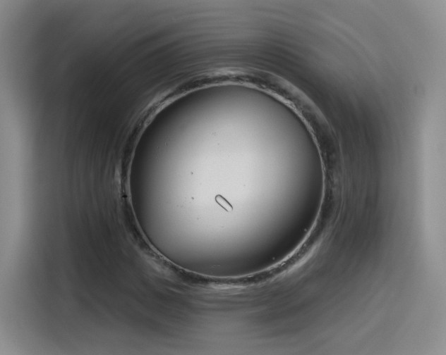 X0000115830825200911201503