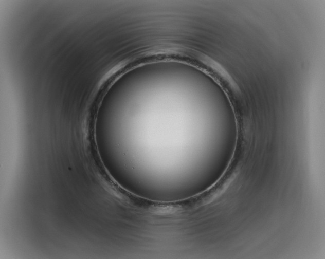 X0000115830826200911201503