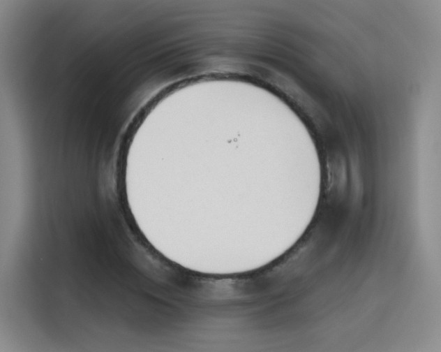 X0000115830828200911201503