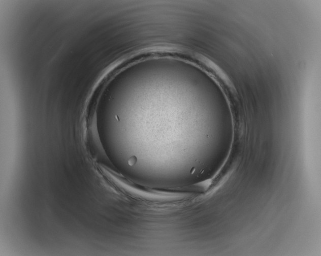 X0000115830829200911201503