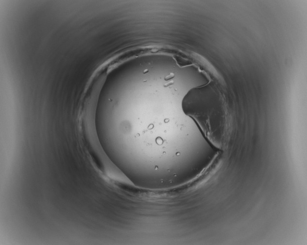 X0000115830831200911201503