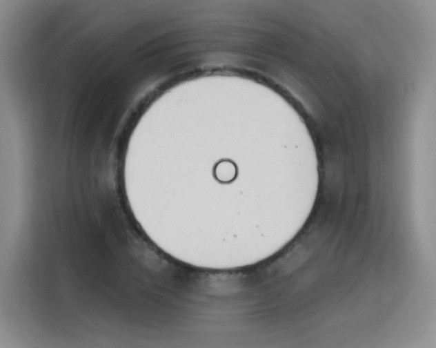 X0000115830832200911201503