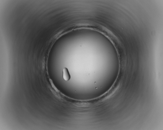 X0000115830833200911201503